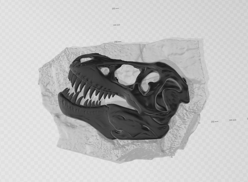 Free 3MF file skull fossil t-rex 💀 ・3D printer model to download・Cults